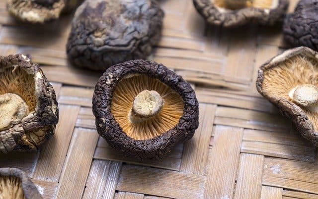 shiitake 香菇