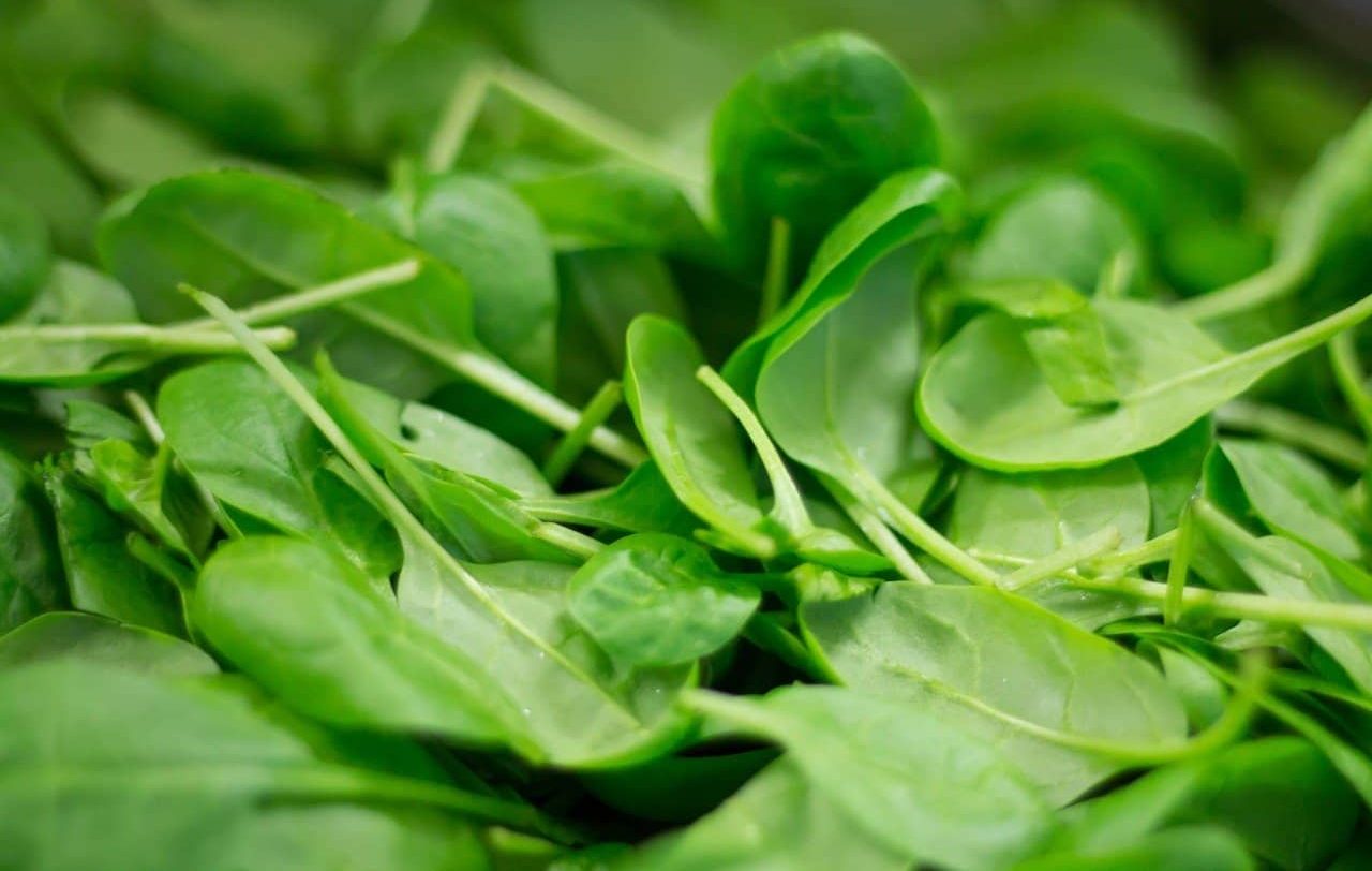 spinach 菠菜