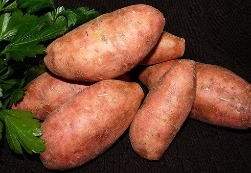 sweet potato 番薯