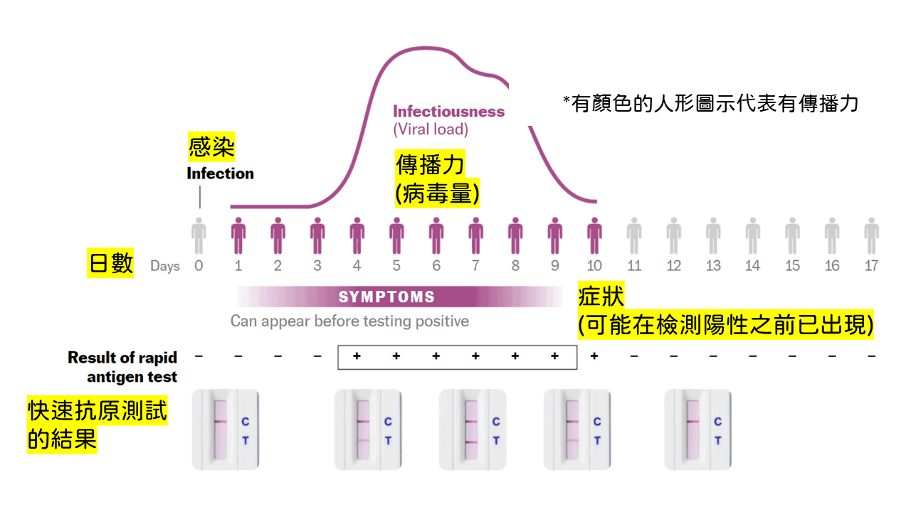 Covid-19 新冠肺炎傳染力、病徵和快速抗原測試結果之間的關係