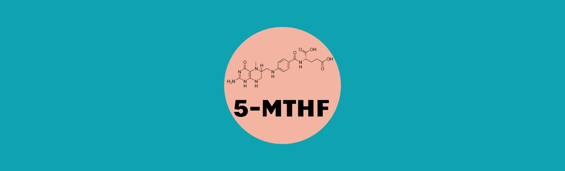 5-MTHF